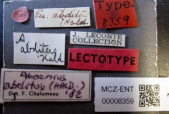 Media type: image;   Entomology 8359 Aspect: labels